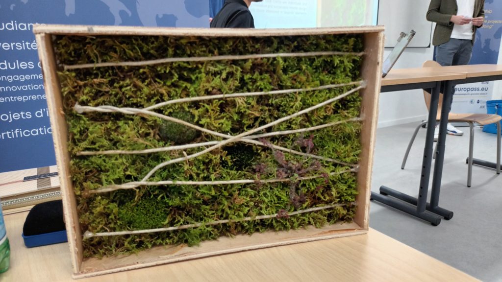 Frugal innovative project : Moss Wall